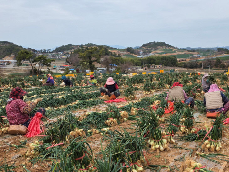 여성농업인 활동2