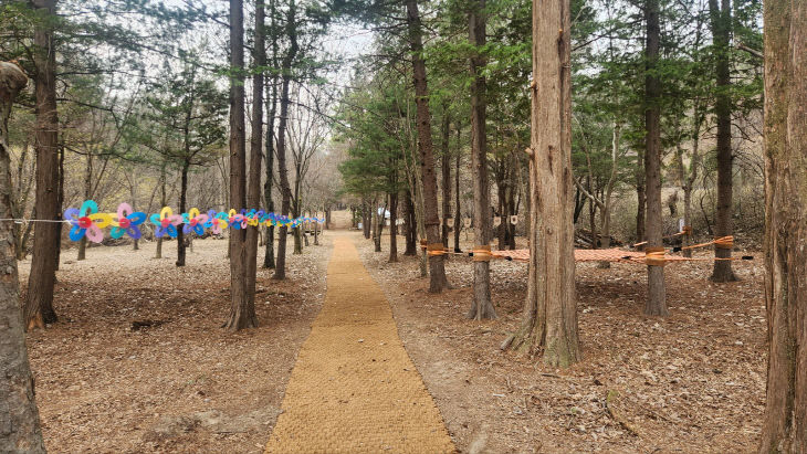 충북도, 자연학습원 ‘숲생태정원’ 본격 개방 1