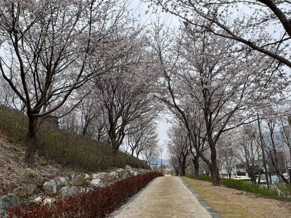 충주 사직산 도시바람길숲.(사진=충주시 제공)