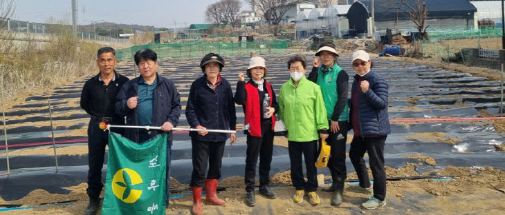 잇는 ‘감자 심기 행사’진행(2)