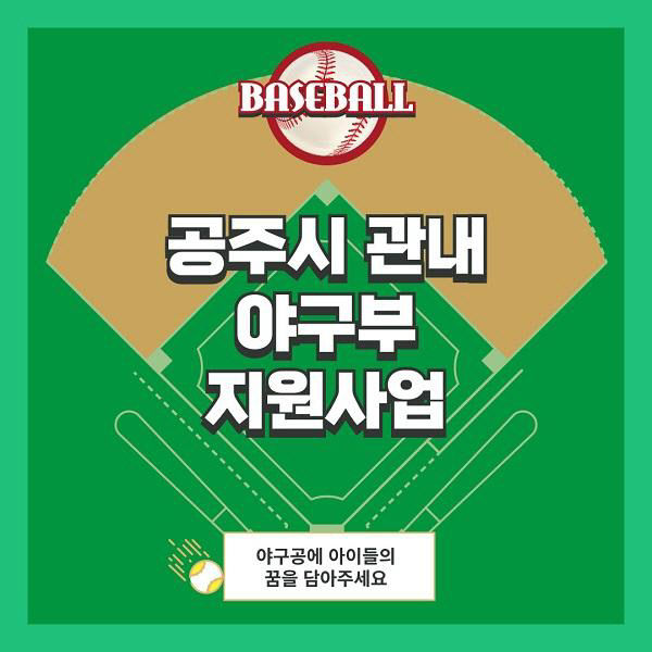 고향사랑기부 관내 야구부지원사업