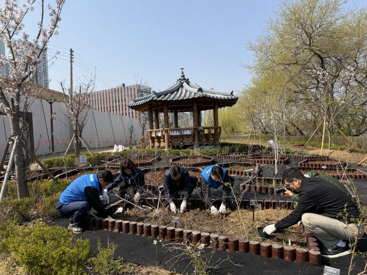 환경정책과(성성호수공원 노랑붓꽃 식재) (2)