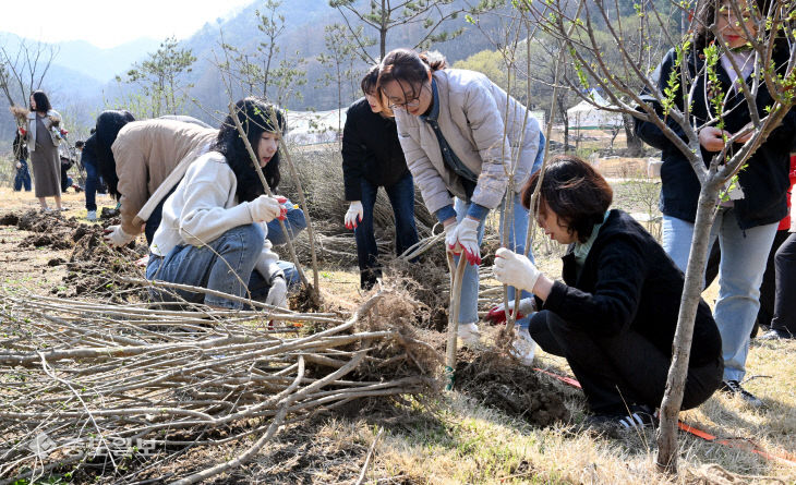 20260402-나무심기1