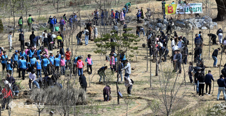 20260402-나무심기