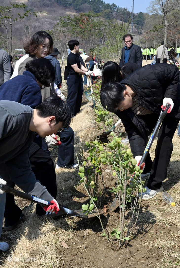 20260402-나무심기2