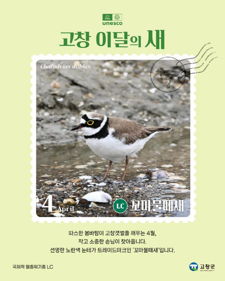 7445029087637149823_2790127635