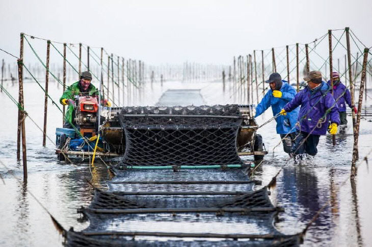 445156284340568083_287968244530980