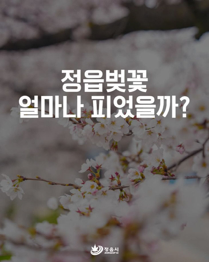 775050545154_7445101601744862127_2867674407