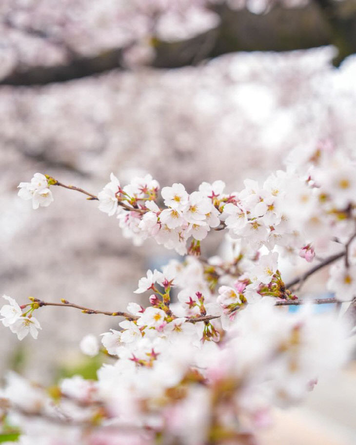 775050564319_7445101682128149543_2867869860