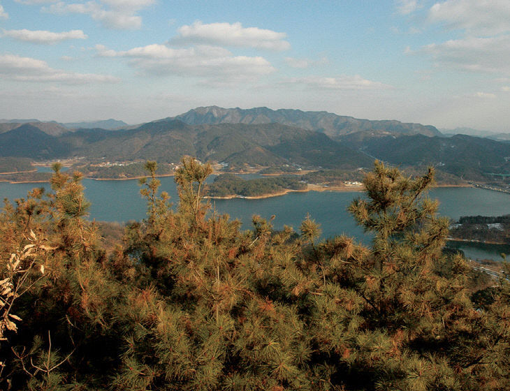 2026021901001356300059426