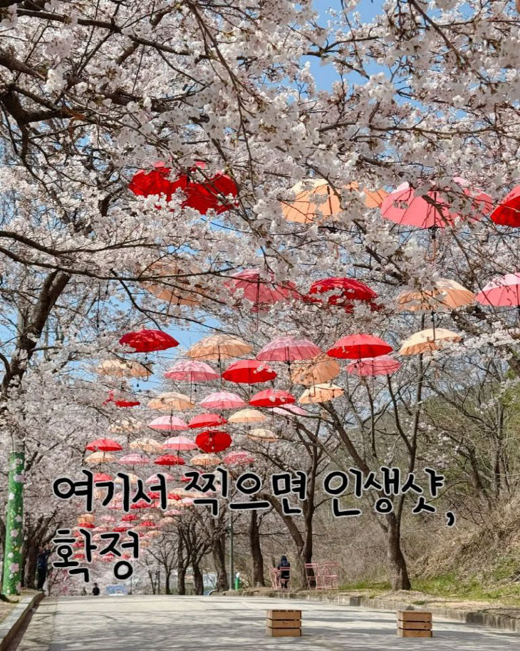 7445385370420081639_3141741204