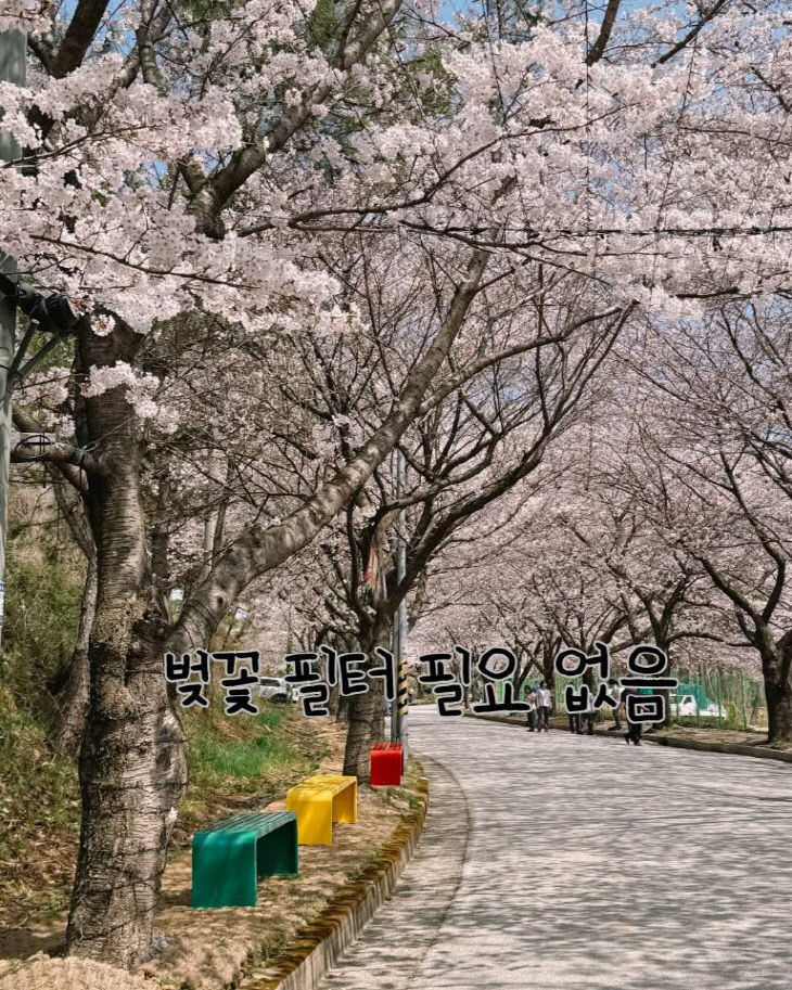 7445385559426075100_3142188741