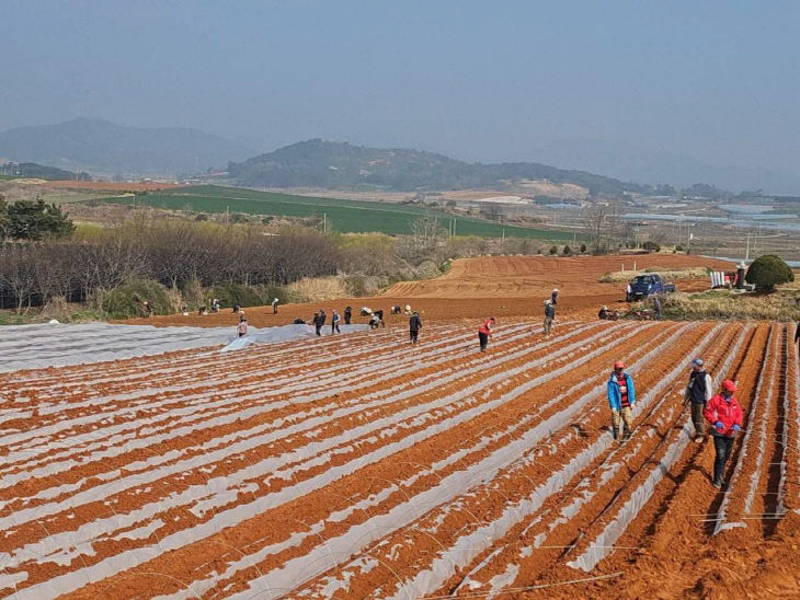 7445384495501053979_3139664197