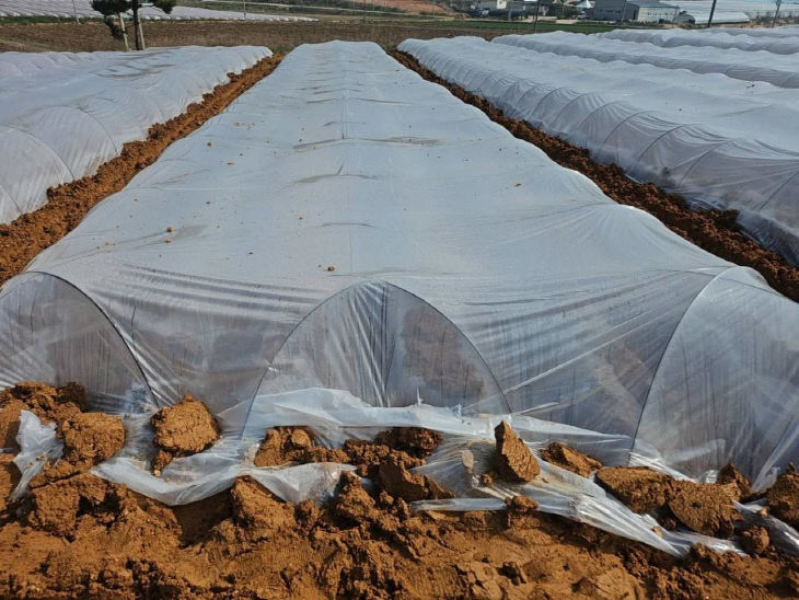 7445384412053579124_3139467679