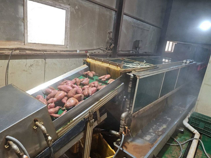 7445384710338050184_3140174279