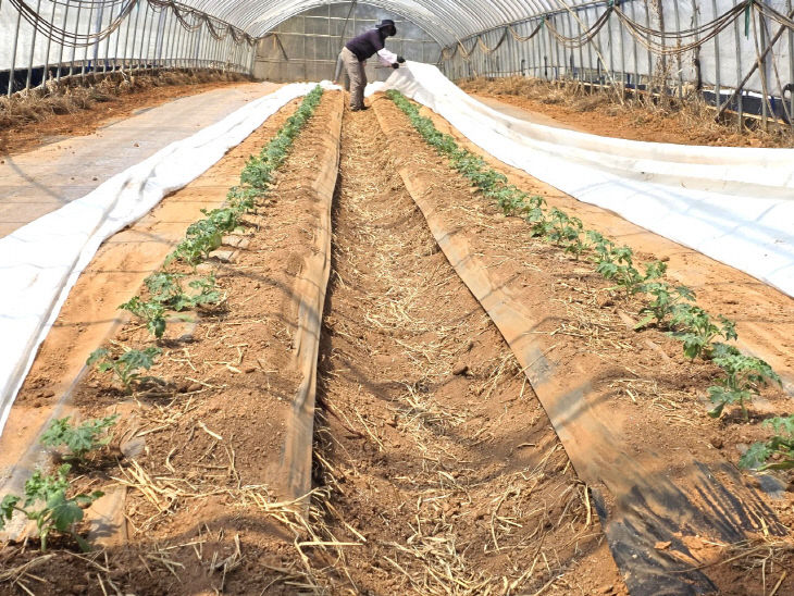 Resized_20260402_122016(0)_340609853177357