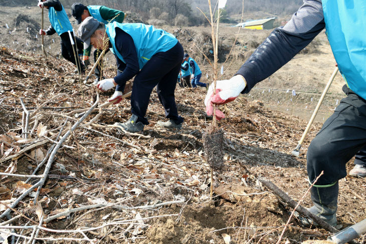 제81회 식목일을 맞아 참여자들이 문광면 광덕리 일원에서 나무