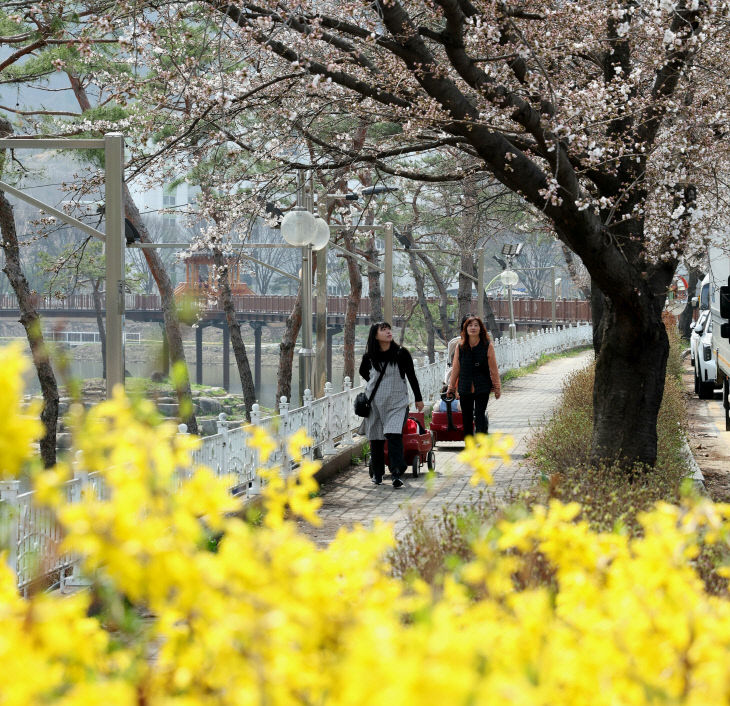 가족 단위 나들이객이 산책을 즐기고 있다 (3)