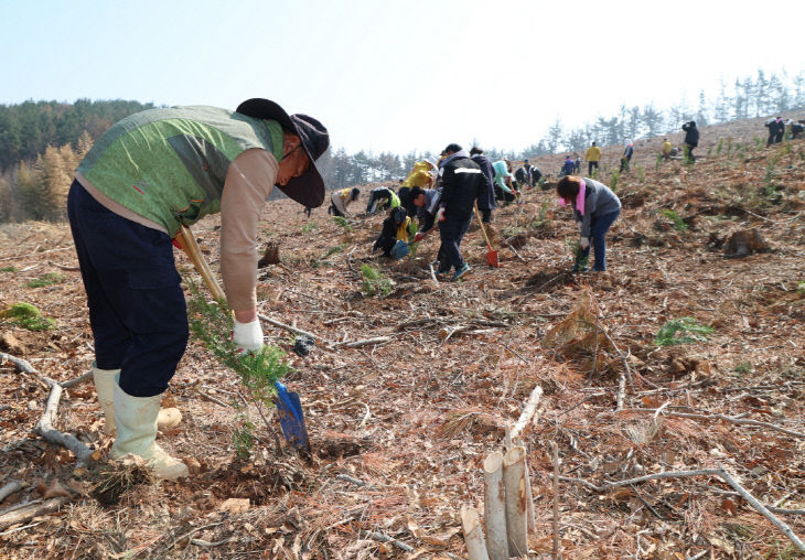 식목일 나무심기 행사 (4)