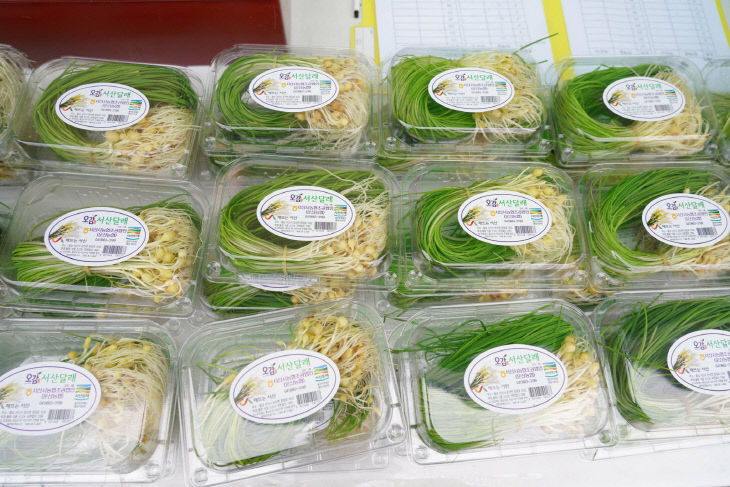 663395086_34611178871863105_790587801690584338_n