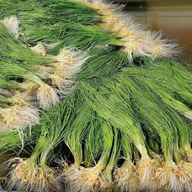 616493966_1173265888310081_3038566211309472145_n