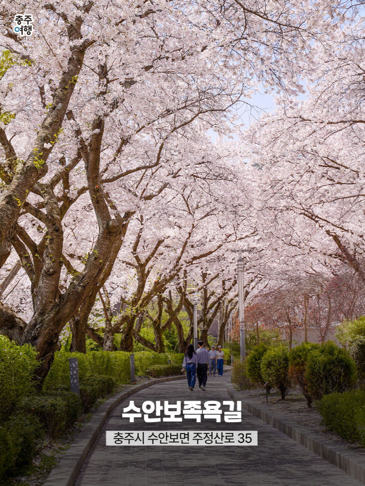 충주 수안보 족욕길.(사진=충주시 제공)