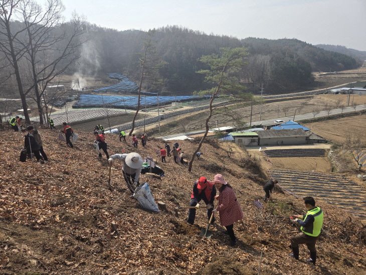 4-2식목일 나무심기행사 개최