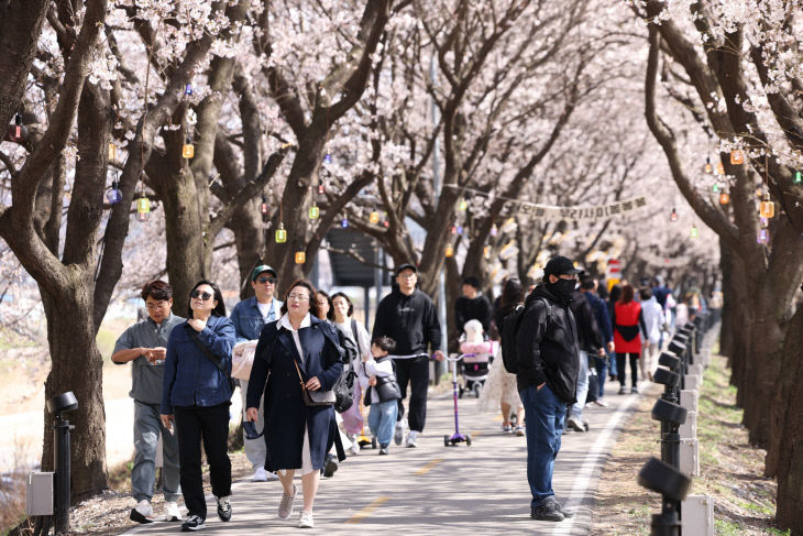 4.6.보은군, ‘보