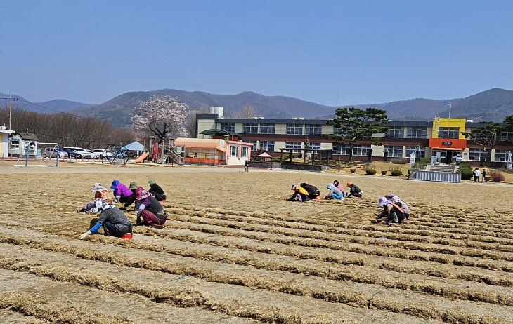 논산 백석초, 동문 사랑으로 푸른 잔디 운동장 조성