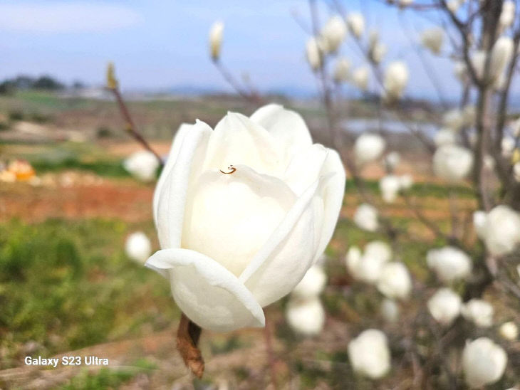 1775414343740_7446627483607840006_4345555499