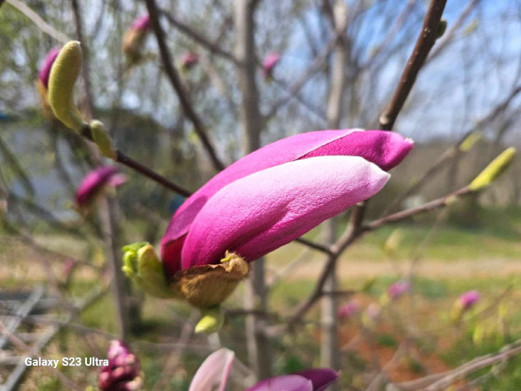 75414400006_7446627719606100820_4346105479