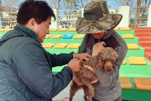 계 가축전염병 예방접종 추진)