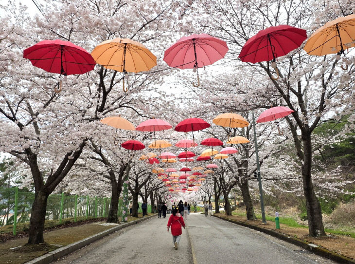 Resized_20260404_130629_395360005505951