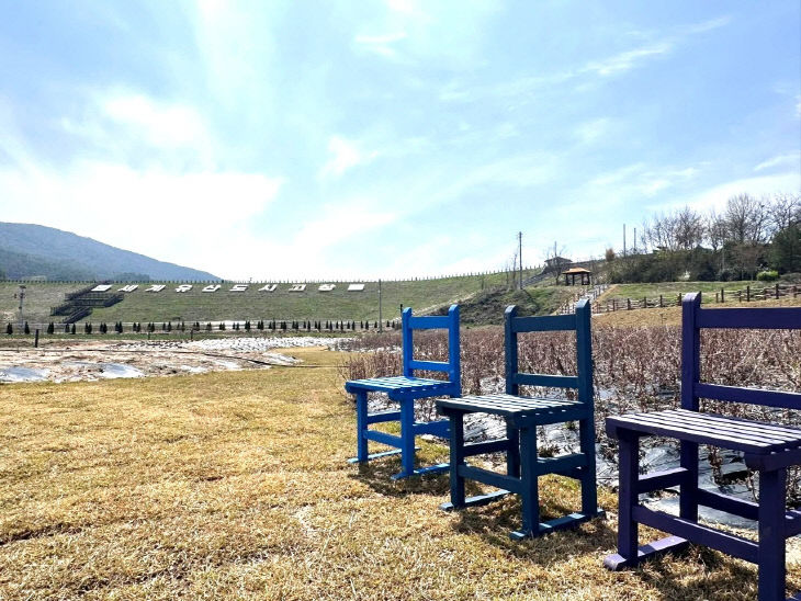 775384140804_7446500803311876772_4226986306