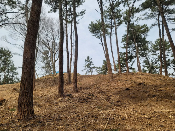 1775204795907_7445748576295327838_3599235850