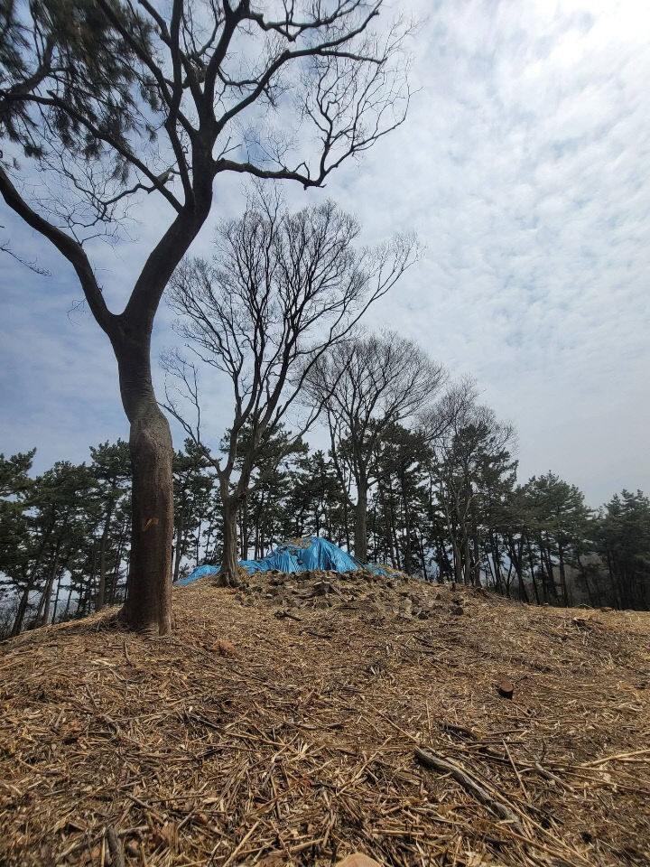 1775204767657_7445748457805555861_3598952416