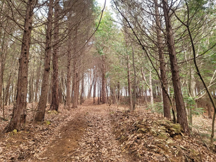 775204824821_7445748697568672184_3599528936