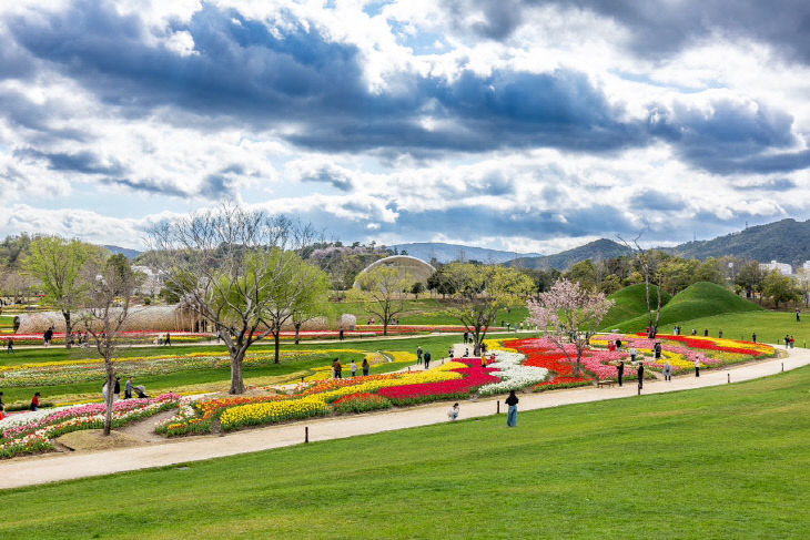 사본 -1 튤립이 만개한 순천만국가정원 노을정원