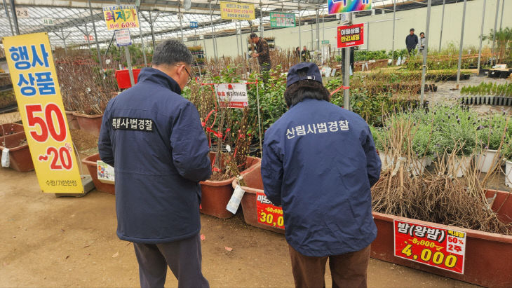 사진자료2_묘목시장 유통단속
