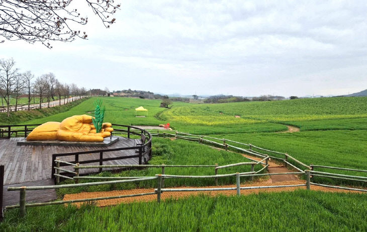 775476715485_7446889089665837229_4656465000