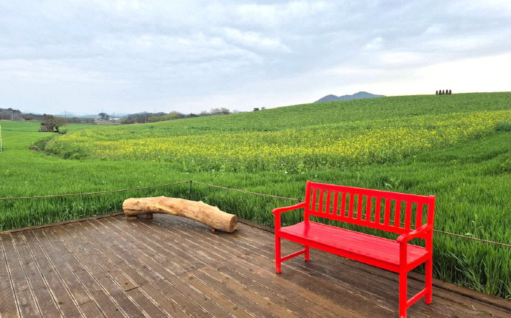 476637213_7446888761370690748_4655679319