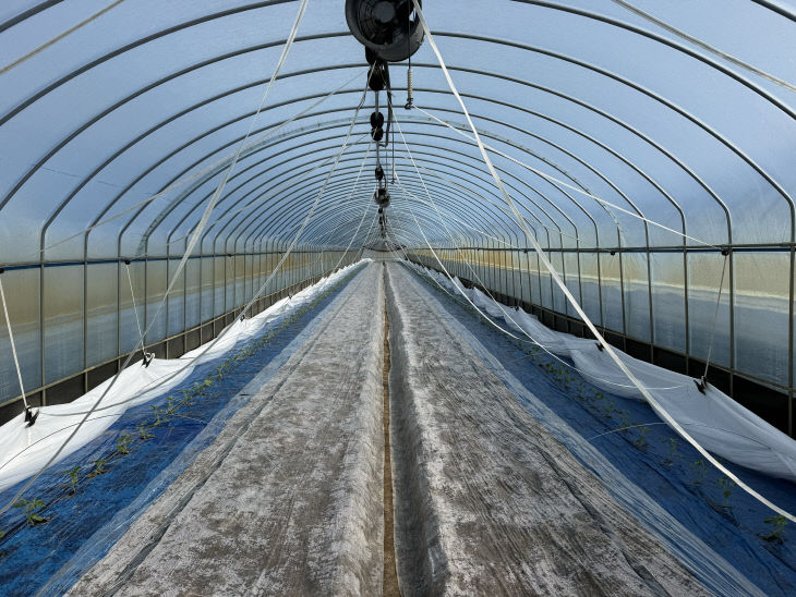 2. 영동군, 소형