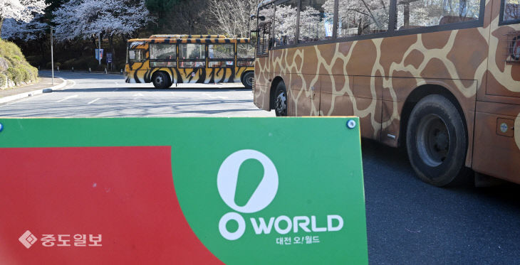 늑대 탈출에 통제된 대전오월드