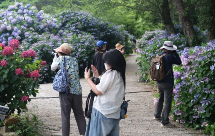 =시민사진사_태종대 수민들