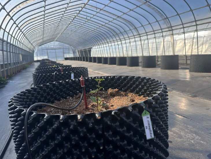 1775625994834_7447515212637770835_5267547126