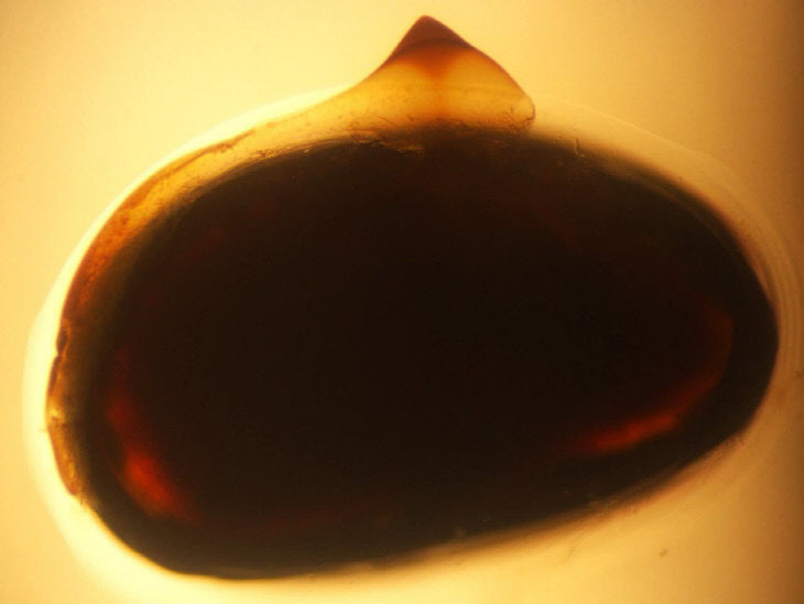 775625889277_7447514769900085155_5266502610