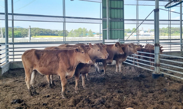 “농가 피해 최소화 총력”