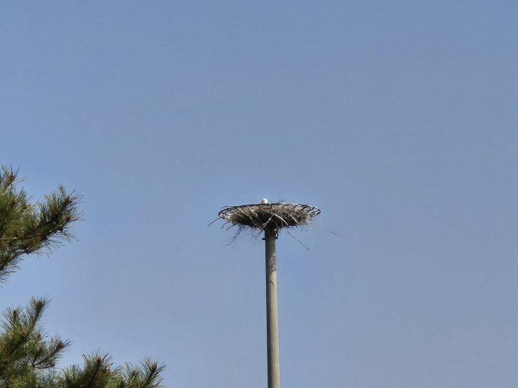 KakaoTalk_20260408_221924580