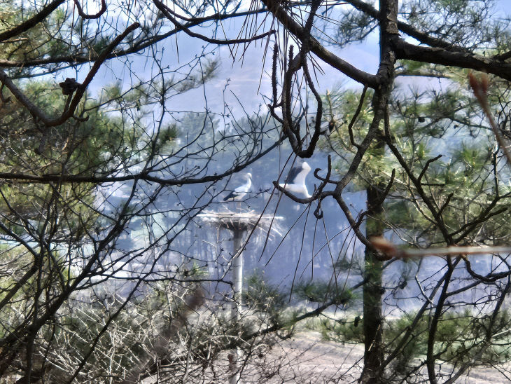 KakaoTalk_20260408_221924580_01