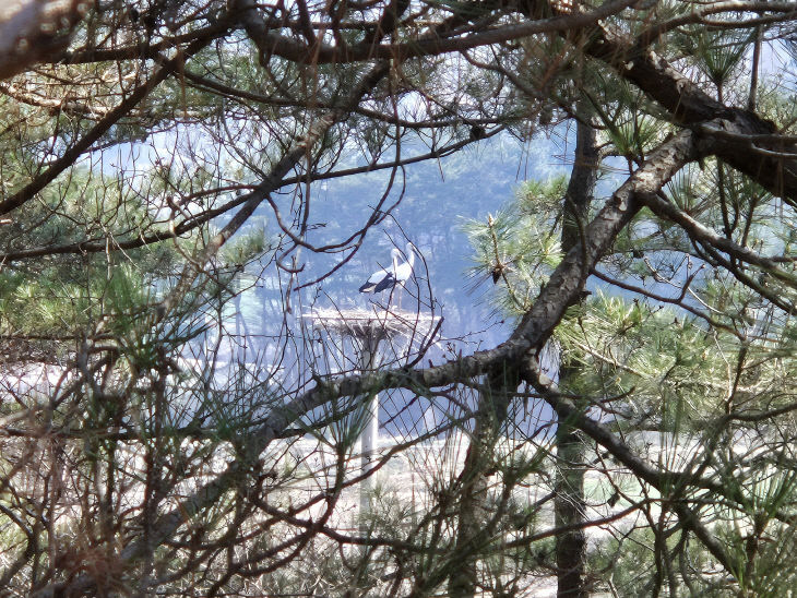 KakaoTalk_20260408_221924580_02